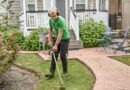 Aménager Vos Extérieurs avec un Paysagiste Transformez Votre Jardin en Un Paradis Vert