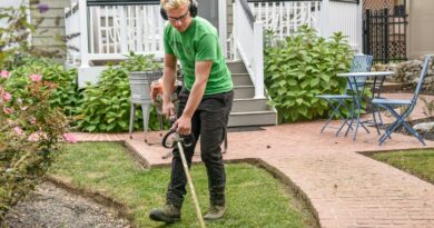 Aménager Vos Extérieurs avec un Paysagiste Transformez Votre Jardin en Un Paradis Vert