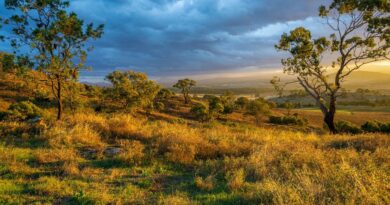 Nature, Environnement et Agriculture : Les Enjeux Actuels et les Solutions Durables